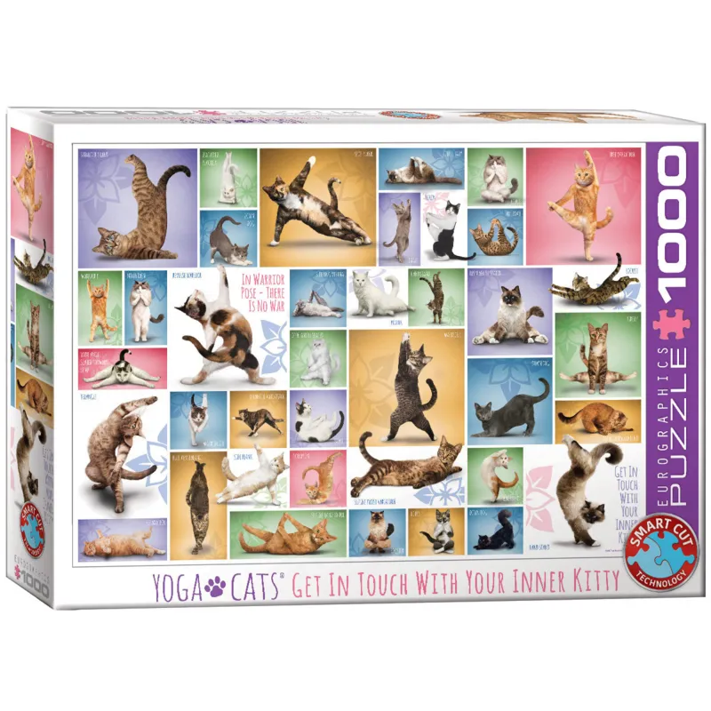 Yoga Cats