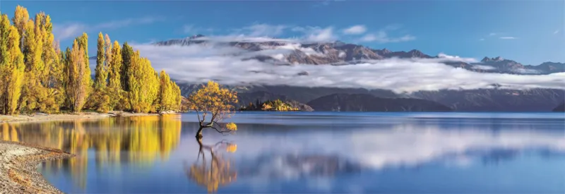 Les Reflets Dorés du Lac Wanaka