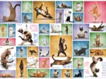 Yoga Cats