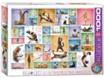 Yoga Cats
