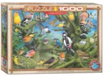 John Francis - Garden Birds