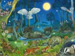 Animaux dans la Forêt Nocturne