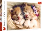 Chatons